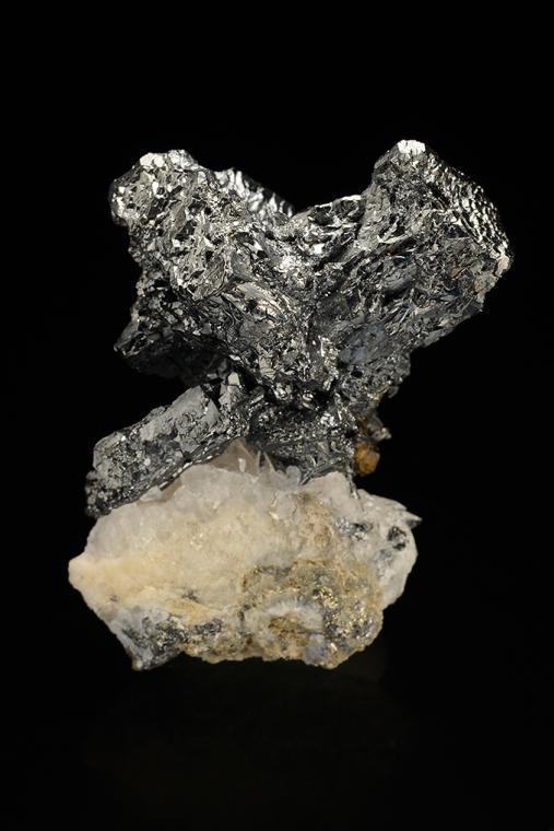 STEPHANITE